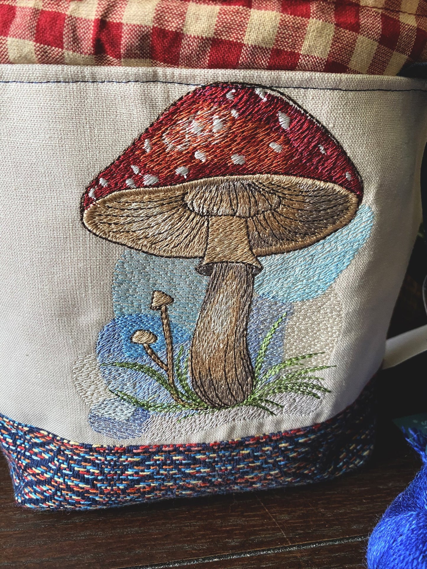 Toadstool Mushroom Small Project Bag