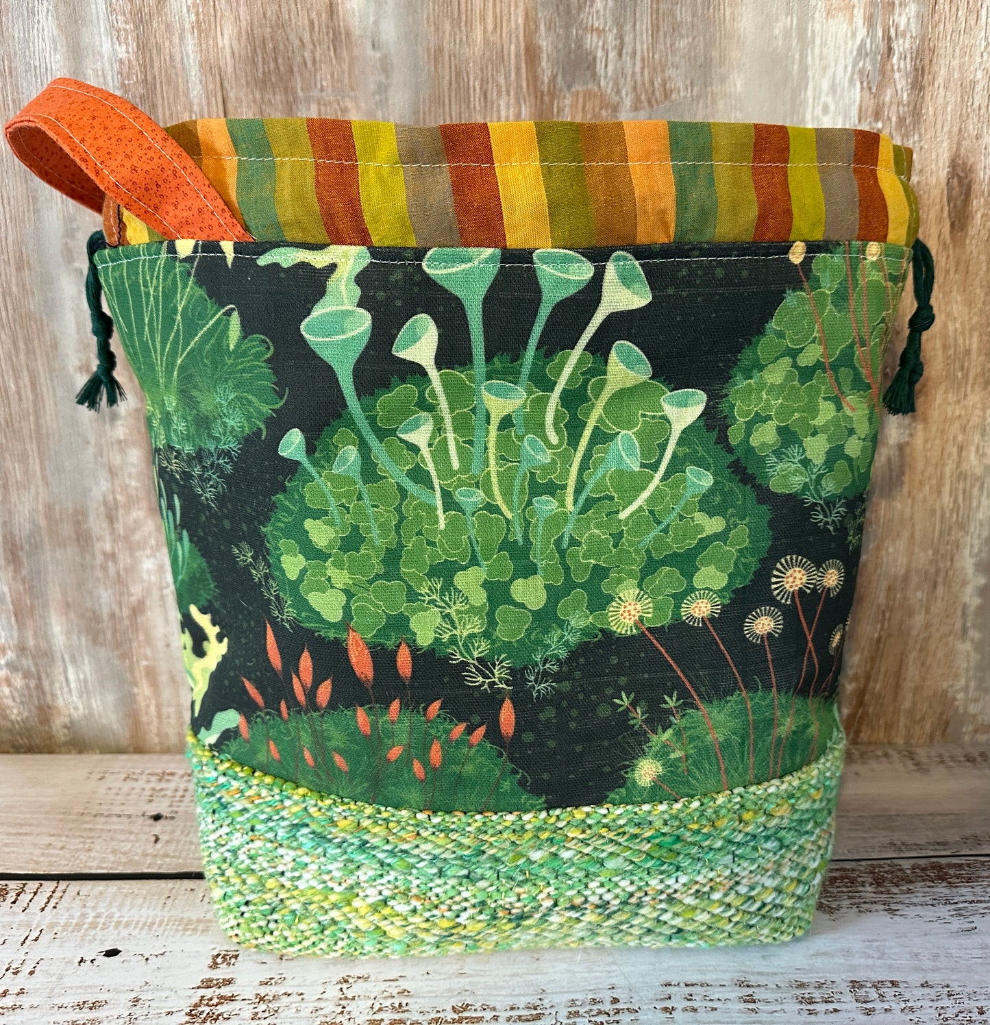 Mosses and Liverworts Large Project Bag