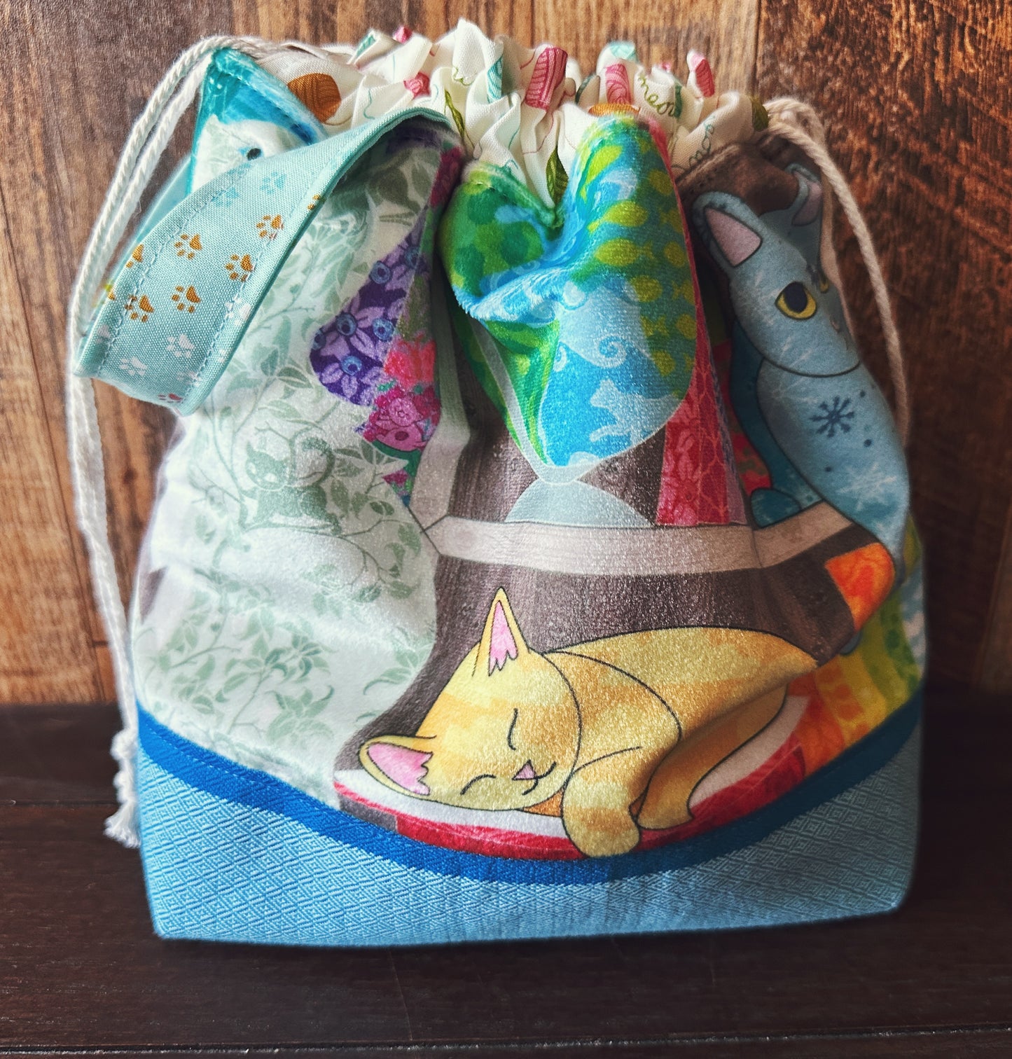Kitties in the Library Medium Project Bag