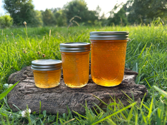 Comb Honey from Queen Isabelle