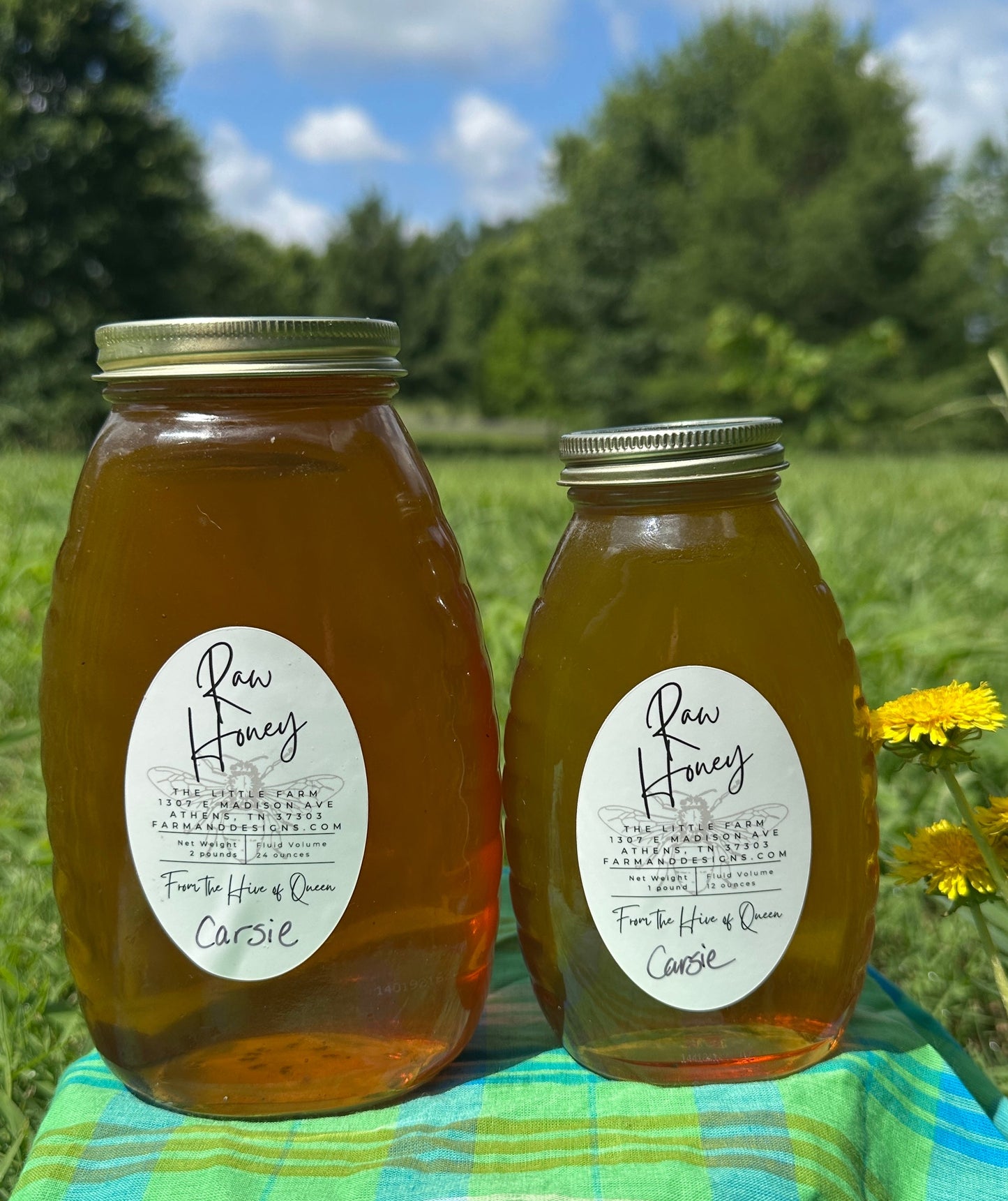 Beautifully Balanced Brown Sugary Rich and Floral Honey from Queen Carsie