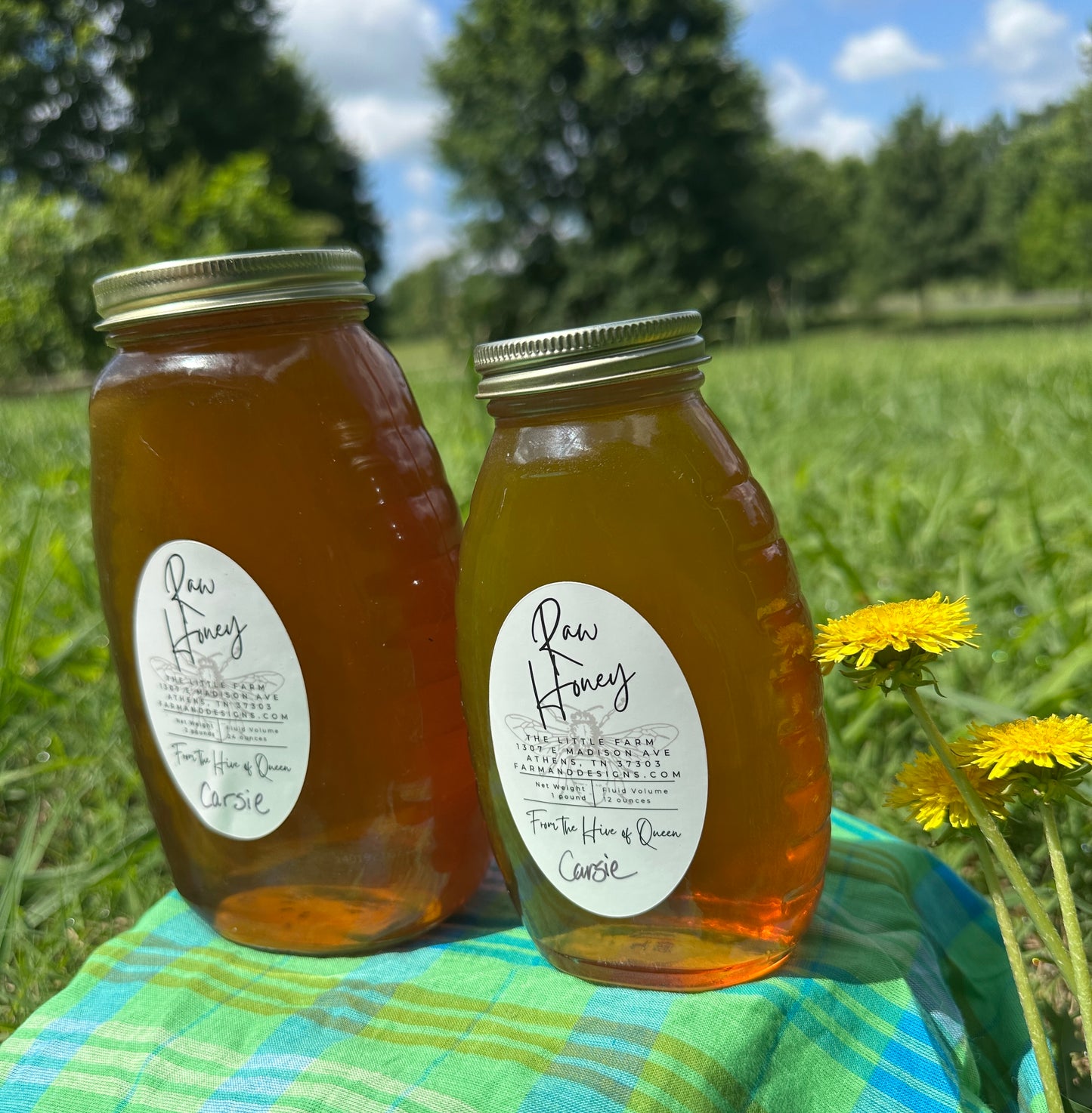 Beautifully Balanced Brown Sugary Rich and Floral Honey from Queen Carsie