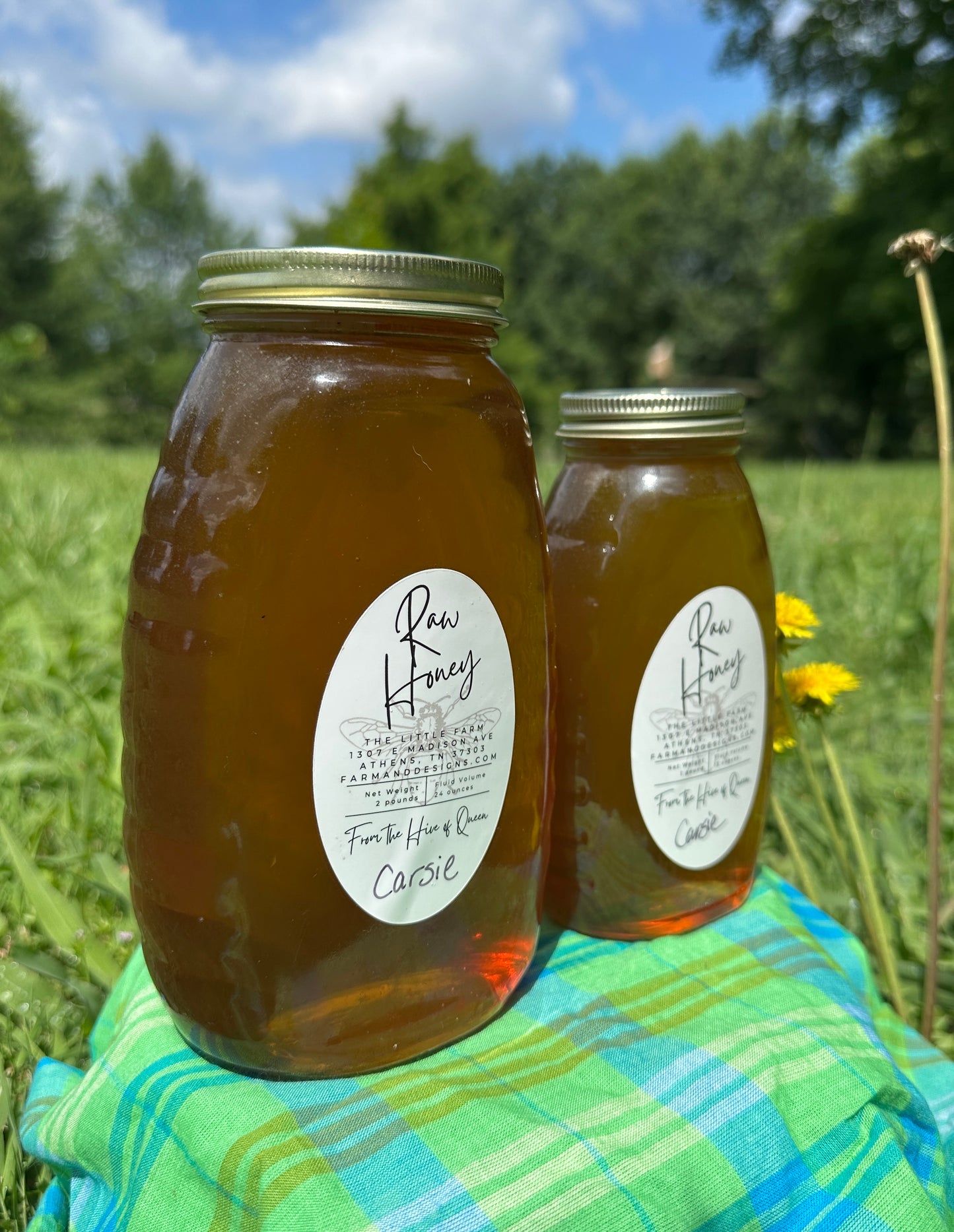 Beautifully Balanced Brown Sugary Rich and Floral Honey from Queen Carsie