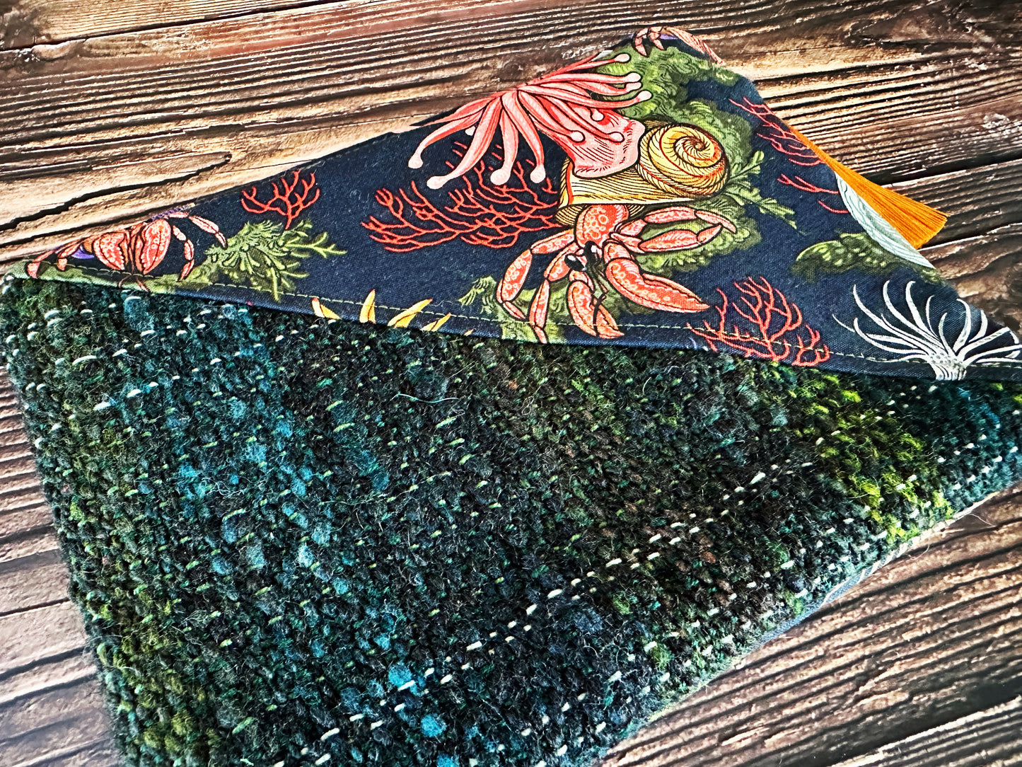 Hermit Crabs and Anemones with Handwoven Wool Zipper Bag