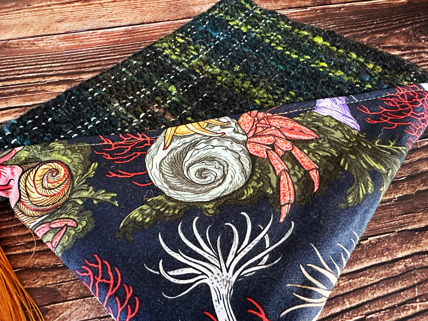 Hermit Crabs and Anemones with Handwoven Wool Zipper Bag