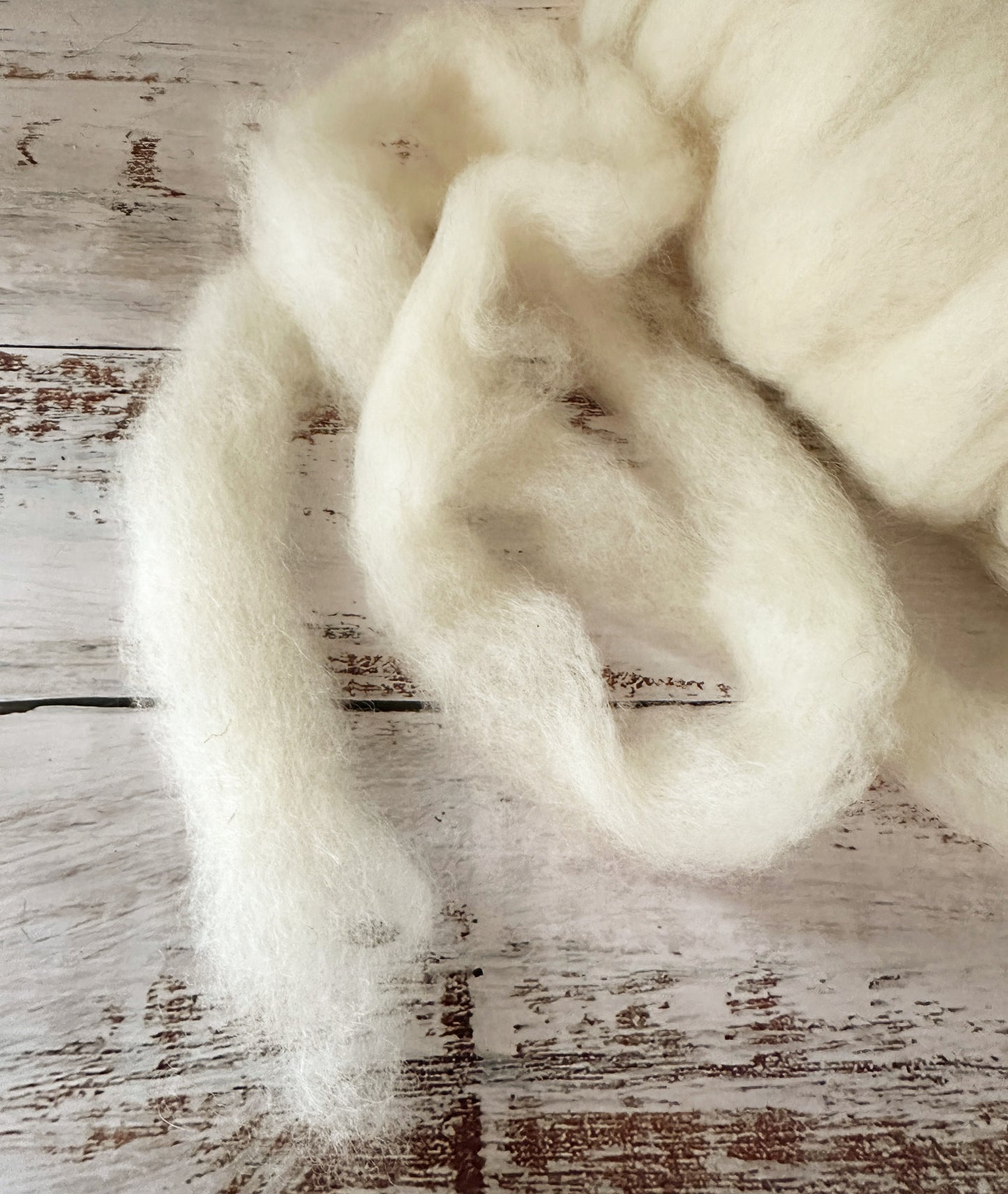 Shetland Wool Roving from Georgia ~ 3 oz Bitty Bump
