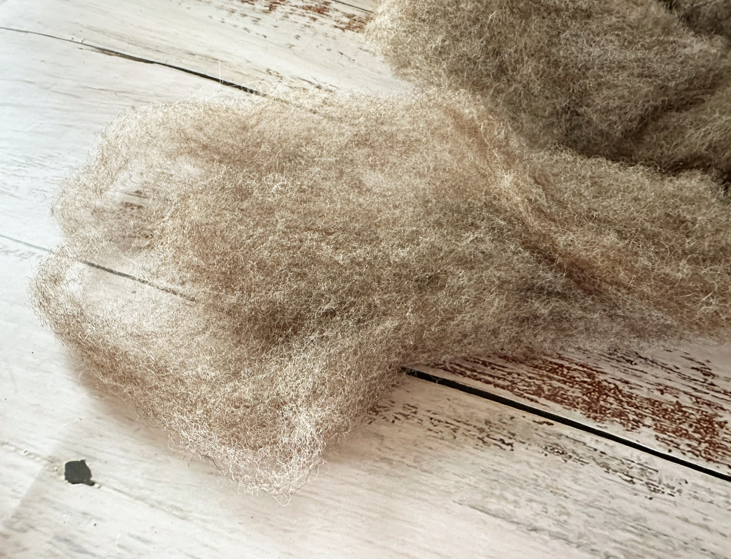 Southdown Wool Roving from Betty ~ 2 oz for Blending