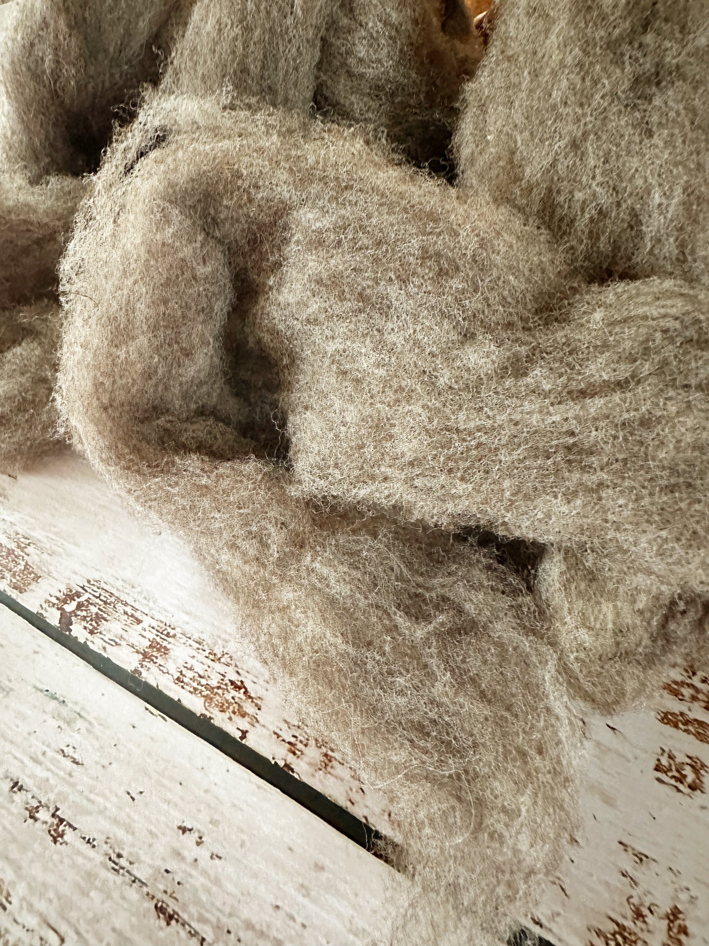 Southdown Wool Roving from Betty ~ 2 oz for Blending