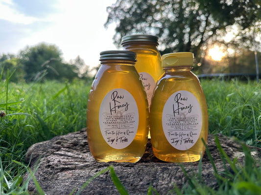 Beautifully Balanced Sweet and Floral Honey from Queens Ivy and Tetra