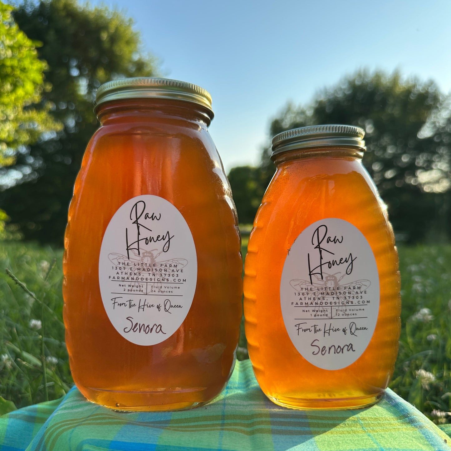 Twangy and Bright Honey from Queen Senora