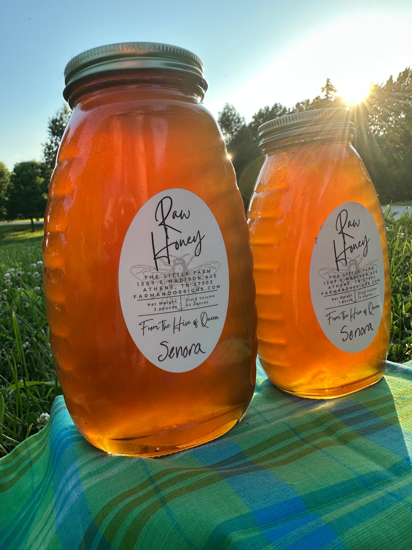 Twangy and Bright Honey from Queen Senora