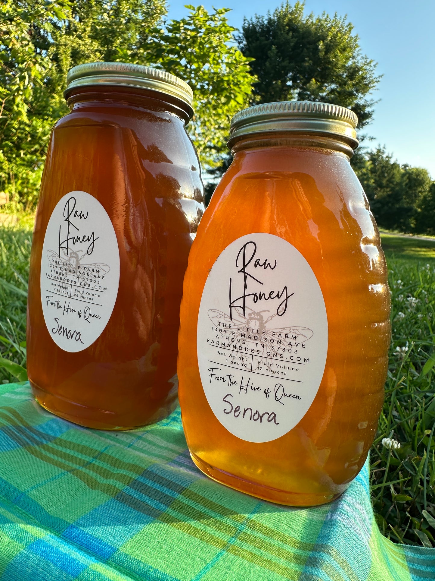 Twangy and Bright Honey from Queen Senora
