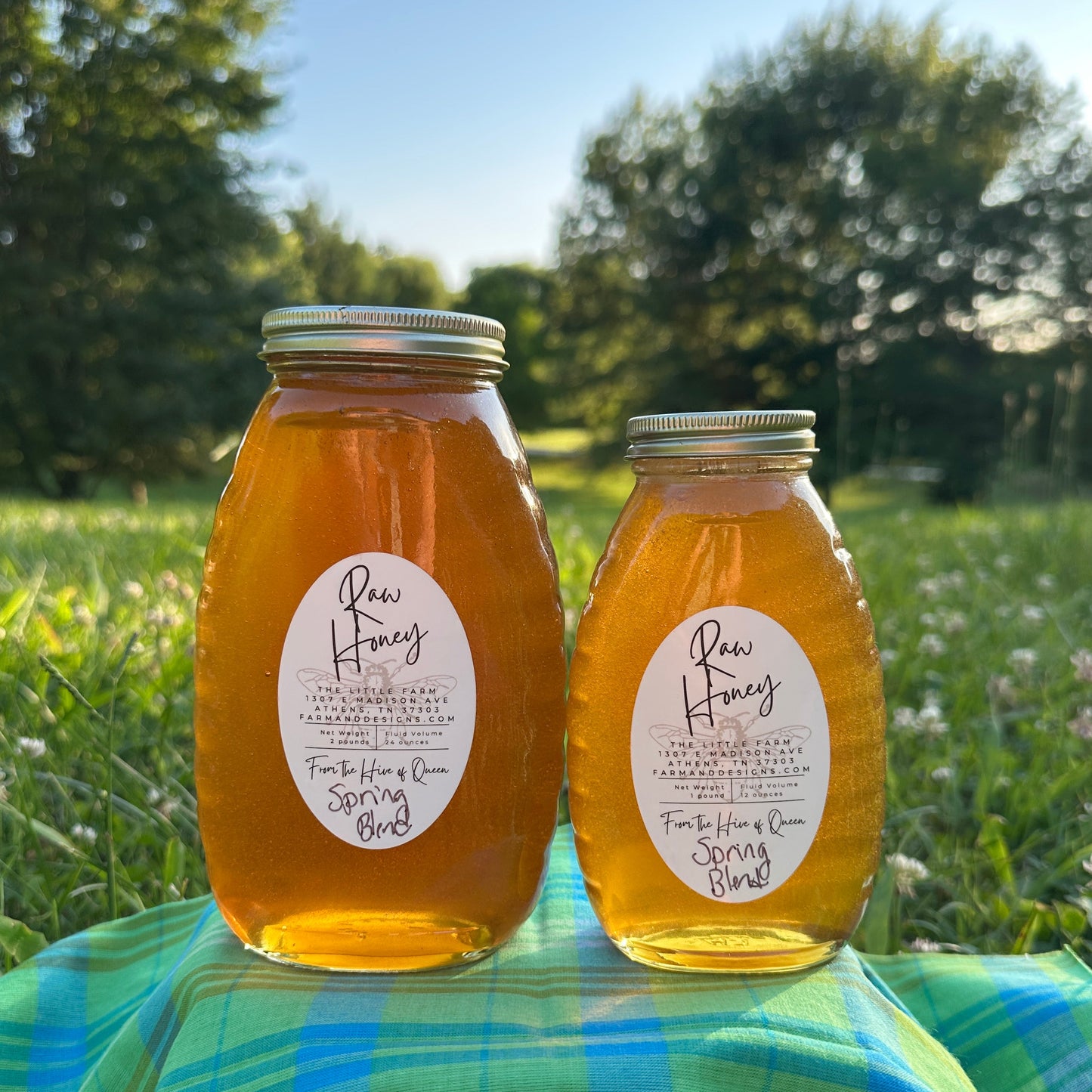 Spring Queens Blended Honey