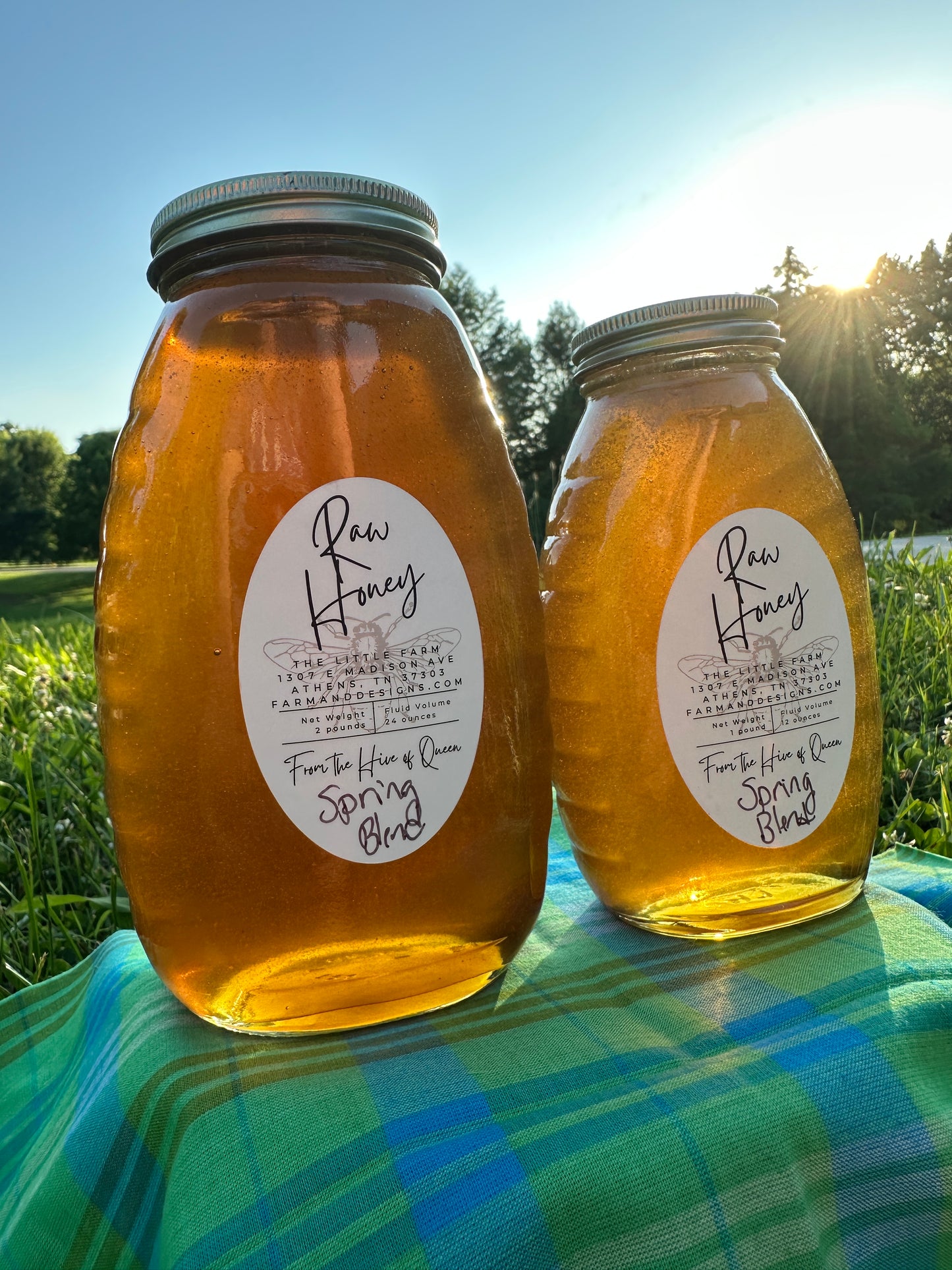 Spring Queens Blended Honey